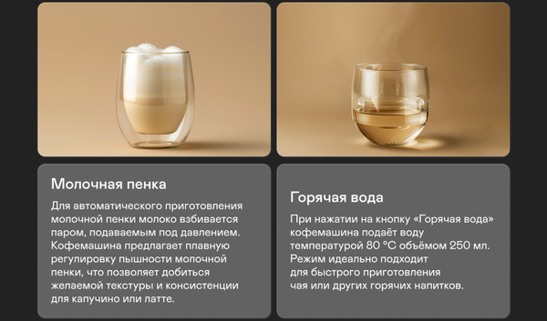 Изображение товара Кофемашина Garlyn L700