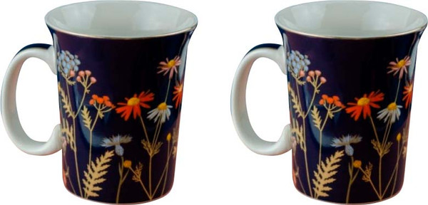 Изображение товара Набор кружек Nouvelle Grace 0440019-Н2