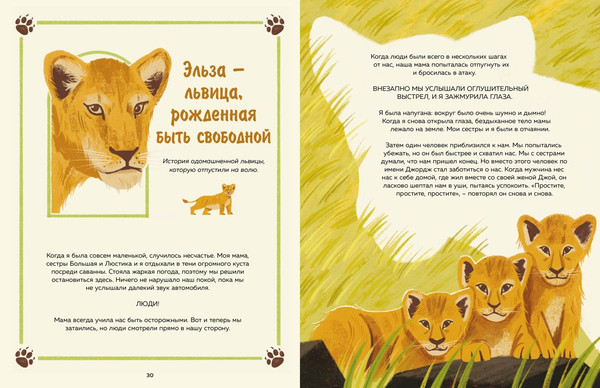 Изображение товара Энциклопедия Махаон Животные-супергерои. Непридуманные истории для детей (Маццео Леонардо, твердая обложка)