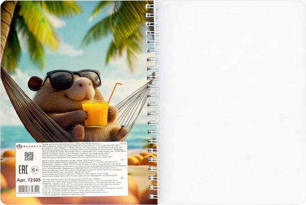 Изображение товара Тетрадь предметная Феникс+ Для записи иностранных слов. Капибара на отдыхе / 72305 (52л)