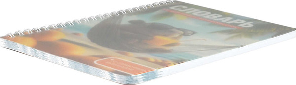 Изображение товара Тетрадь предметная Феникс+ Для записи иностранных слов. Капибара на отдыхе / 72305 (52л)