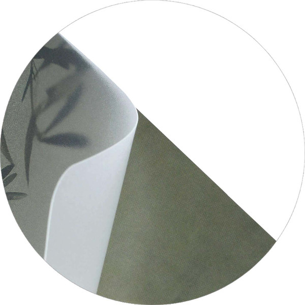 Изображение товара Записная книжка Феникс+ Ветка эвкалипта / 72634 (64л)