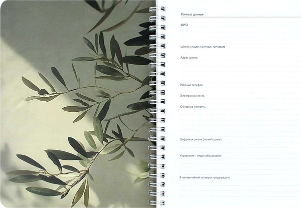 Изображение товара Записная книжка Феникс+ Ветка эвкалипта / 72634 (64л)