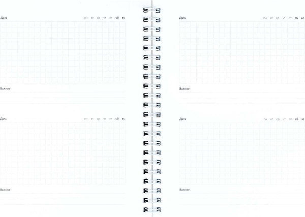 Изображение товара Записная книжка Феникс+ Роскошные цветы / 72877 (64л)