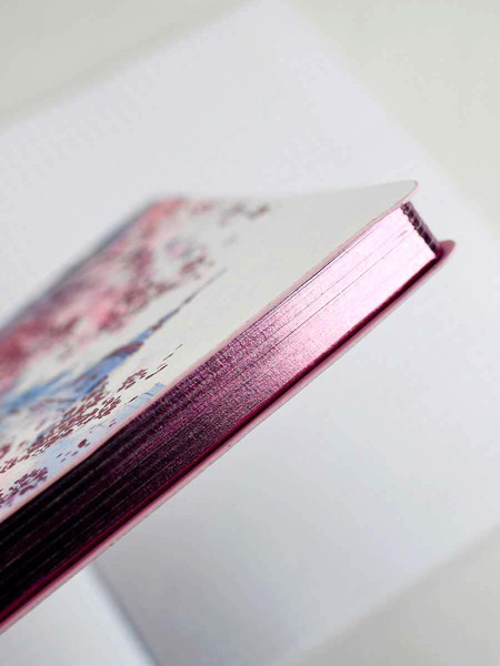 Изображение товара Записная книжка Феникс+ Весенний город / 68821 (120л)