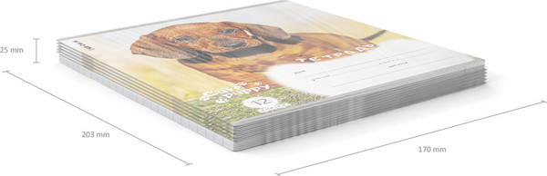 Изображение товара Тетрадь Erich Krause Щенки / 59973 (12л, клетка)