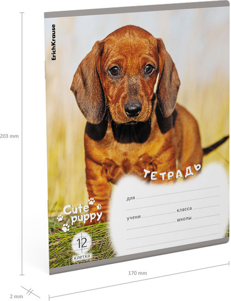 Изображение товара Тетрадь Erich Krause Щенки / 59973 (12л, клетка)