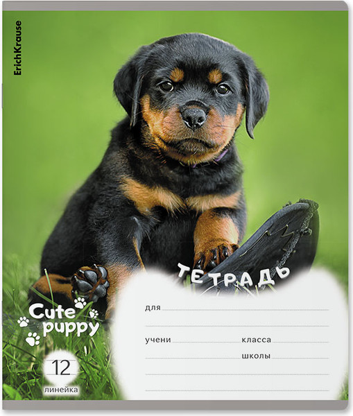 Изображение товара Тетрадь Erich Krause Щенки / 59974 (12л, линейка)