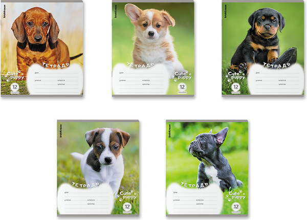 Изображение товара Тетрадь Erich Krause Щенки / 59974 (12л, линейка)