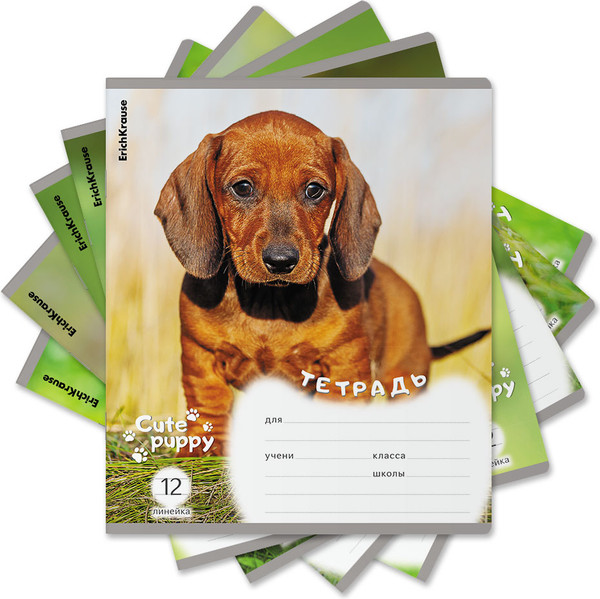 Изображение товара Тетрадь Erich Krause Щенки / 59974 (12л, линейка)