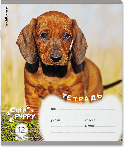 Изображение товара Тетрадь Erich Krause Щенки / 59974 (12л, линейка)