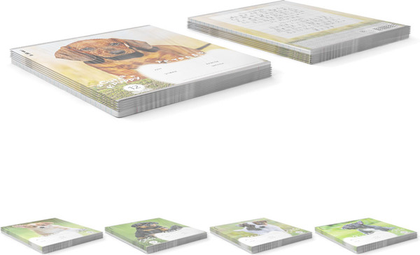 Изображение товара Тетрадь Erich Krause Щенки / 59974 (12л, линейка)