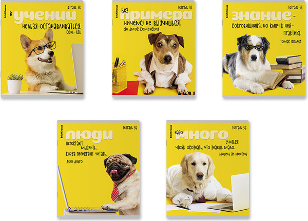 Изображение товара Тетрадь Erich Krause Ученые собаки / 60627 (36л, клетка)