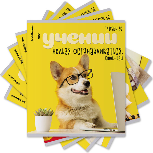 Изображение товара Тетрадь Erich Krause Ученые собаки / 60627 (36л, клетка)
