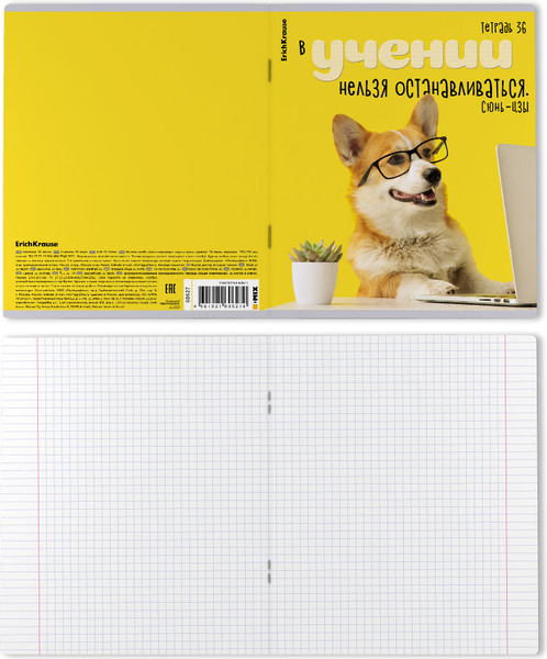 Изображение товара Тетрадь Erich Krause Ученые собаки / 60627 (36л, клетка)