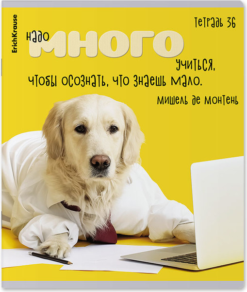 Изображение товара Тетрадь Erich Krause Ученые собаки / 60627 (36л, клетка)