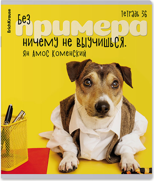 Изображение товара Тетрадь Erich Krause Ученые собаки / 60627 (36л, клетка)