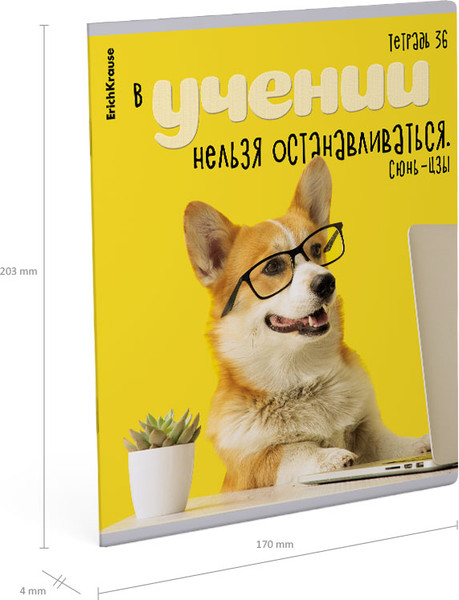 Изображение товара Тетрадь Erich Krause Ученые собаки / 60627 (36л, клетка)