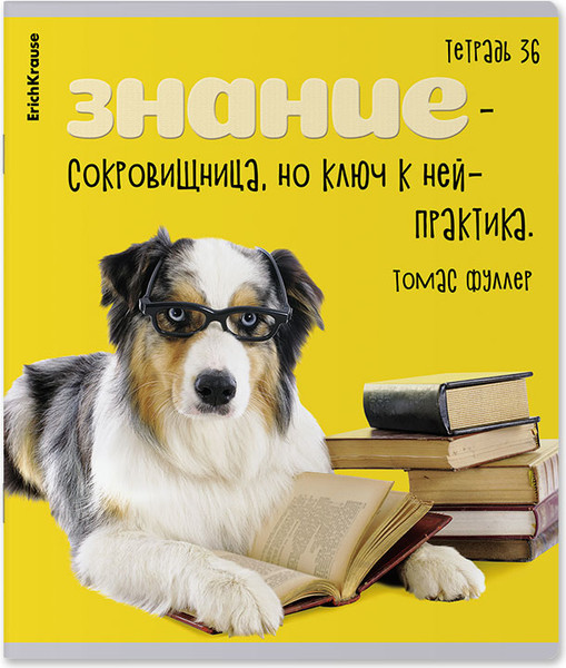 Изображение товара Тетрадь Erich Krause Ученые собаки / 60627 (36л, клетка)