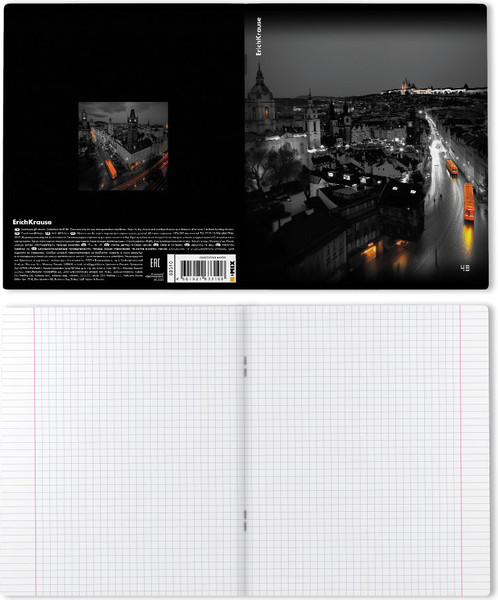 Изображение товара Тетрадь Erich Krause Urban Lights / 63310 (48л, клетка)