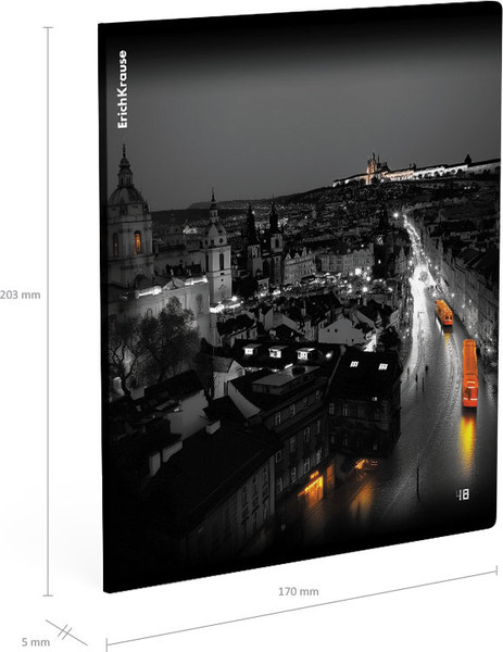 Изображение товара Тетрадь Erich Krause Urban Lights / 63310 (48л, клетка)