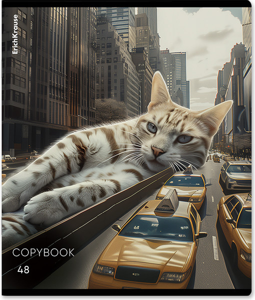 Изображение товара Тетрадь Erich Krause Big City Cats / 63317 (48л, клетка)