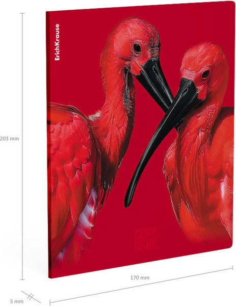 Изображение товара Тетрадь Erich Krause Scarlet / 64868 (48л, клетка)