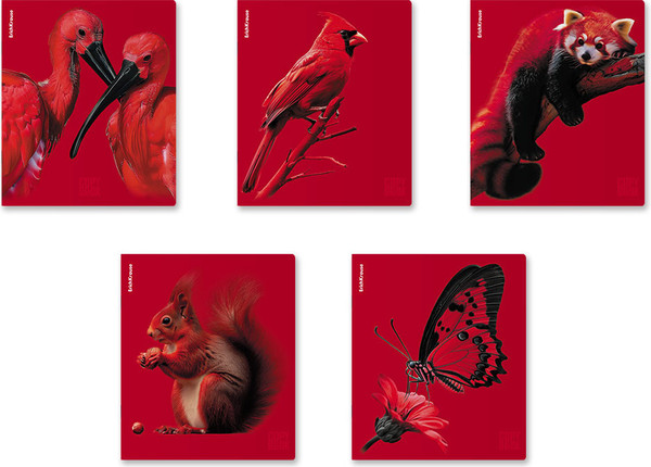 Изображение товара Тетрадь Erich Krause Scarlet / 64868 (48л, клетка)