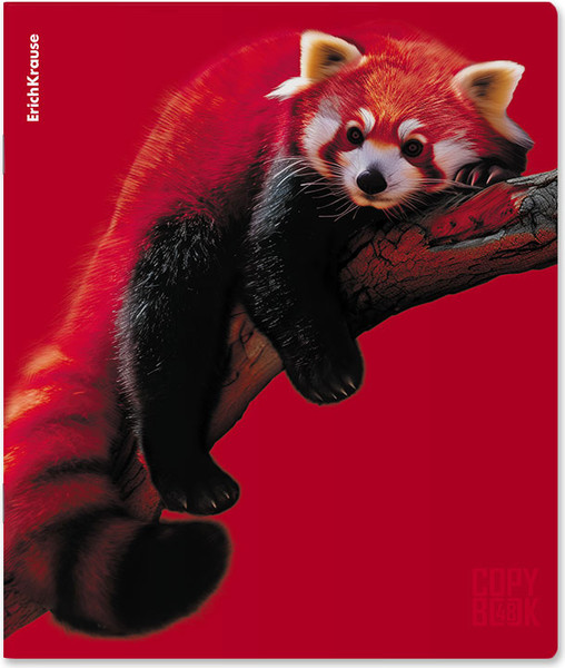 Изображение товара Тетрадь Erich Krause Scarlet / 64868 (48л, клетка)