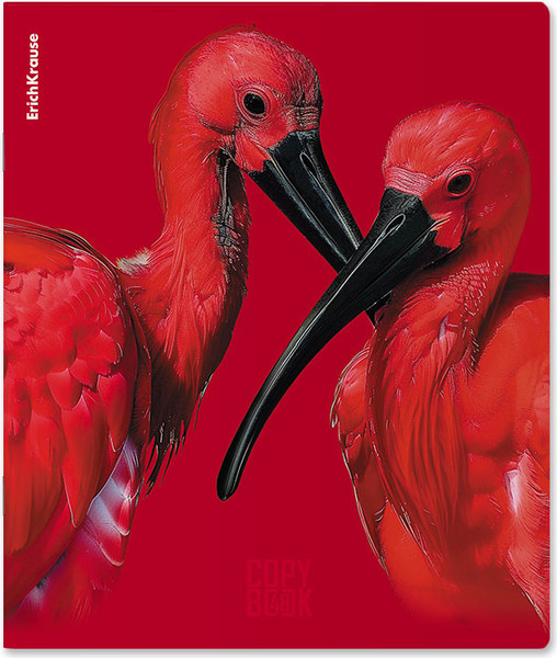 Изображение товара Тетрадь Erich Krause Scarlet / 64868 (48л, клетка)