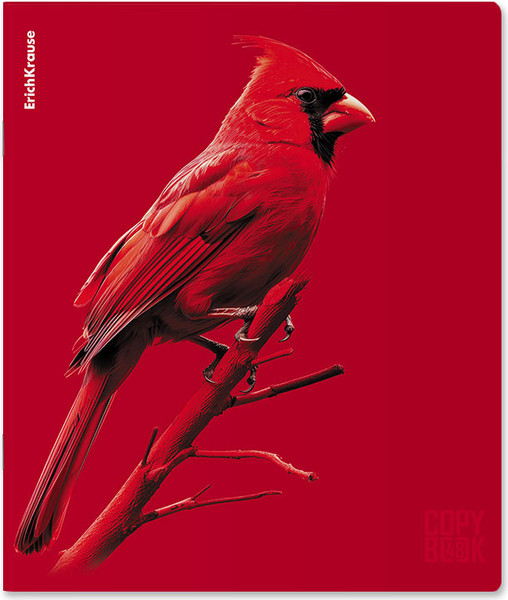 Изображение товара Тетрадь Erich Krause Scarlet / 64868 (48л, клетка)