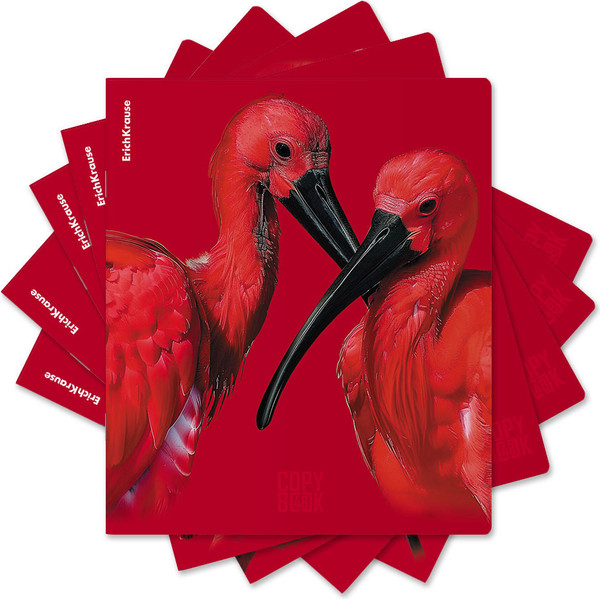 Изображение товара Тетрадь Erich Krause Scarlet / 64868 (48л, клетка)