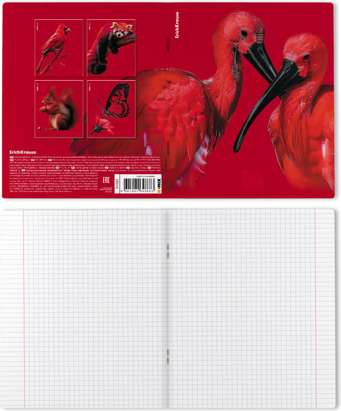 Изображение товара Тетрадь Erich Krause Scarlet / 64868 (48л, клетка)
