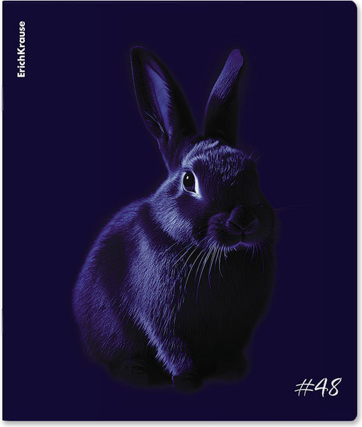 Изображение товара Тетрадь Erich Krause Indigo / 64867 (48л, клетка)