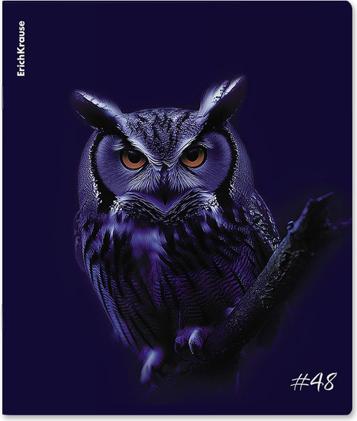 Изображение товара Тетрадь Erich Krause Indigo / 64867 (48л, клетка)