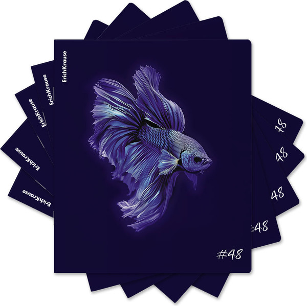 Изображение товара Тетрадь Erich Krause Indigo / 64867 (48л, клетка)