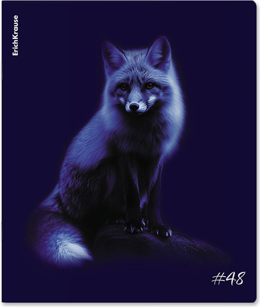 Изображение товара Тетрадь Erich Krause Indigo / 64867 (48л, клетка)