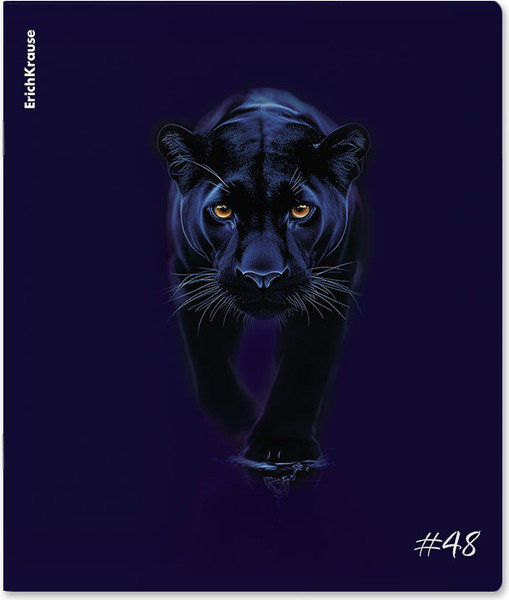 Изображение товара Тетрадь Erich Krause Indigo / 64867 (48л, клетка)