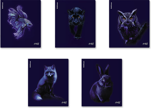 Изображение товара Тетрадь Erich Krause Indigo / 64867 (48л, клетка)