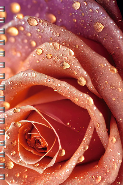 Изображение товара Тетрадь Listoff Роза / ТСБ4965195 (96л)