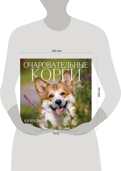 Изображение товара Календарь настенный Эксмо Очаровательные корги 2026 год (9785042189340)