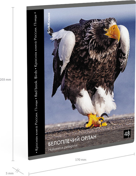 Изображение товара Тетрадь Erich Krause Энциклопедия, Красная книга России. Птицы / 59968 (48л, клетка)