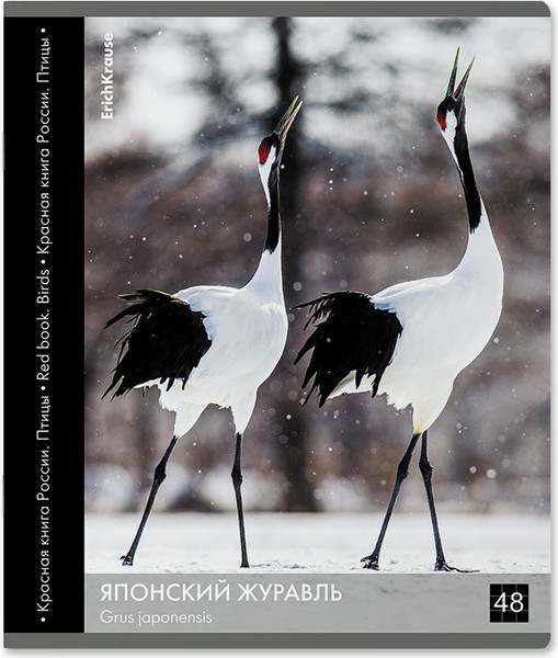 Изображение товара Тетрадь Erich Krause Энциклопедия, Красная книга России. Птицы / 59968 (48л, клетка)