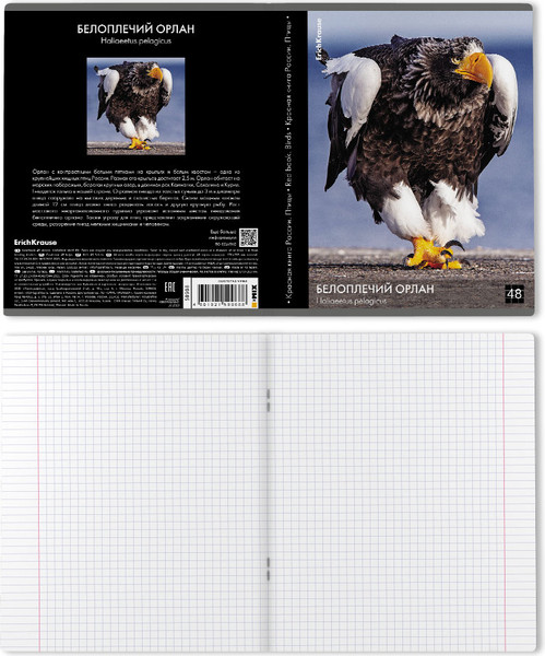 Изображение товара Тетрадь Erich Krause Энциклопедия, Красная книга России. Птицы / 59968 (48л, клетка)