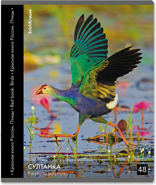 Изображение товара Тетрадь Erich Krause Энциклопедия, Красная книга России. Птицы / 59968 (48л, клетка)