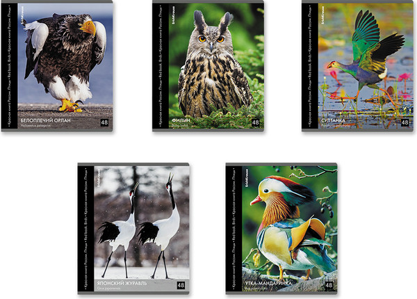 Изображение товара Тетрадь Erich Krause Энциклопедия, Красная книга России. Птицы / 59968 (48л, клетка)