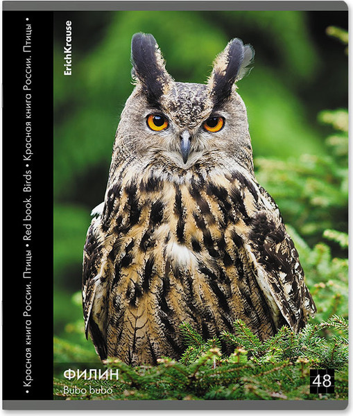 Изображение товара Тетрадь Erich Krause Энциклопедия, Красная книга России. Птицы / 59968 (48л, клетка)