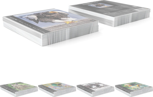 Изображение товара Тетрадь Erich Krause Энциклопедия, Красная книга России. Птицы / 59968 (48л, клетка)