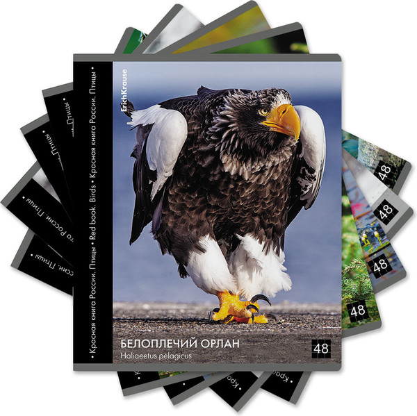Изображение товара Тетрадь Erich Krause Энциклопедия, Красная книга России. Птицы / 59968 (48л, клетка)