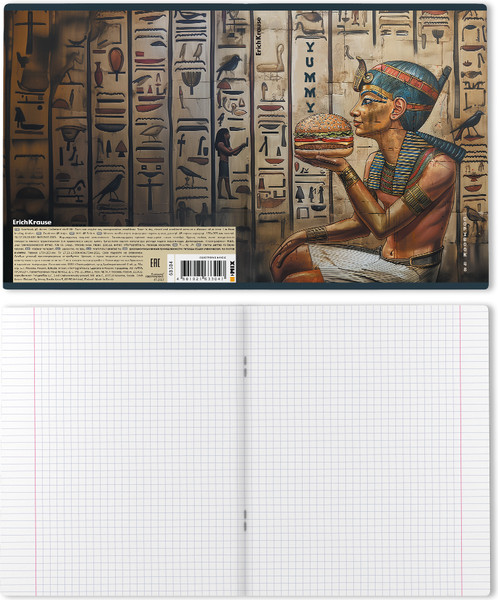 Изображение товара Тетрадь Erich Krause Newgypt / 63304 (48л, клетка)
